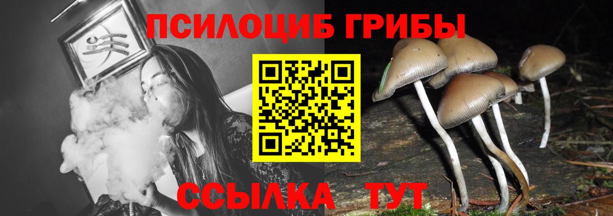 Псилоцибиновые грибы Magic Shrooms Полысаево
